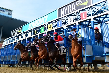 Horses break from the gate at Aqueduct Racetrack