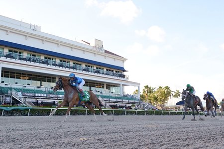 Gulfstream To Update Protocols One Day Racing Pause Bloodhorse