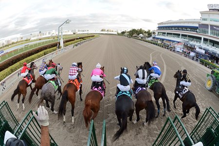 Florida derby 2020 gulfstream park entries