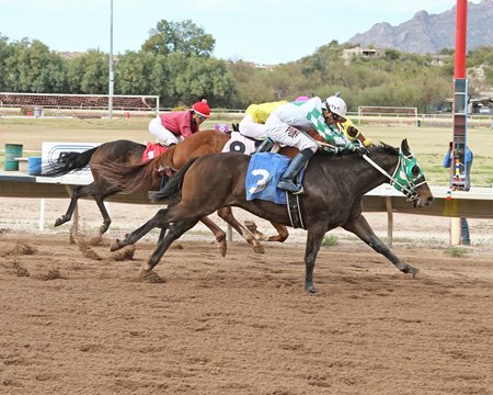 Racing at Rillito Park