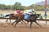 Moral Compass wins 2020 Rillito Hopeful Maiden Stakes at Rillito Park