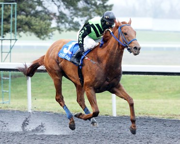 Nun the Less - Horse Profile - BloodHorse