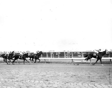 Secretariat - Horse Profile - Bloodhorse