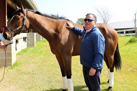 Exulting - Horse Profile - BloodHorse