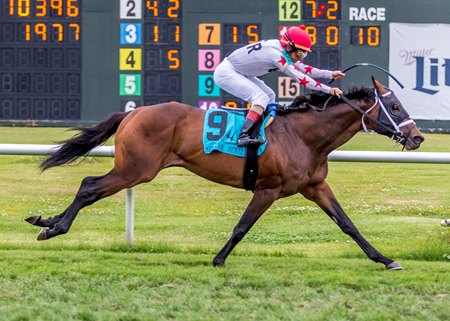 Factor This Sets Another Track Record in Muniz - BloodHorse