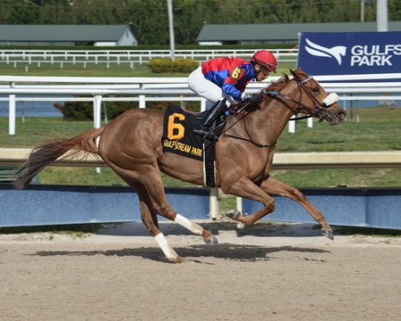 Swiss Skydiver Delivers Major Win for Daredevil - BloodHorse