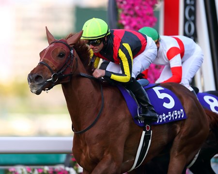 Lucky Lilac wins the Osaka Hai at Hanshin