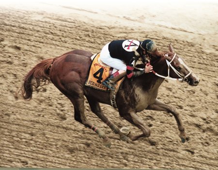 Red Bullet wins the 2000 Preakness Stakes at Pimlico Race Course