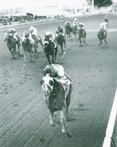 1970 – DUST COMMANDER – Kentucky Derby Race Chart, Pedigree & Career  Highlights – Tacos Y Mas