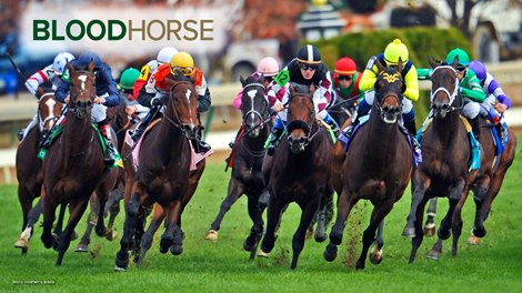 BloodHorse Zoom Background 3