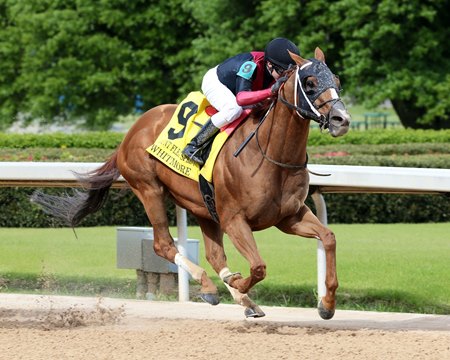 Oaklawn Horse Racing Schedule 2022 Oaklawn Park To Host Whitmore Day In 2022 - Bloodhorse