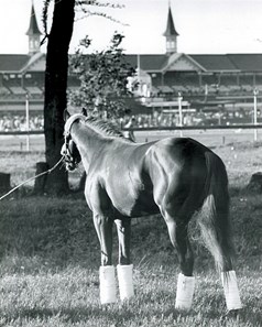 Dust Commander at Kentucky Derby – The Tony Leonard Collection