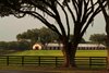 Bridlewood Farm,  Lifestyles BloodHorse Editorial