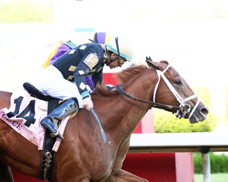 Ce Ce rallies past Ollie's Candy to win the Apple Blossom Handicap
