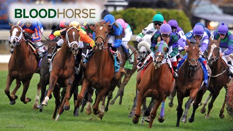 BloodHorse Zoom Background 2
