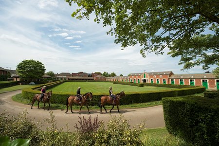 newmarket stables tours