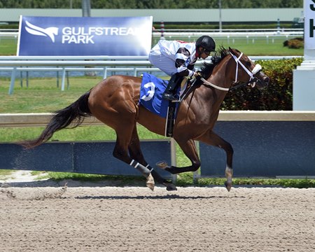 Princess Secret Wires Field In Gulfstream Park Maiden Bloodhorse