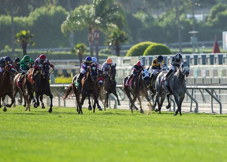 Keeper Ofthe Stars rolls down the turf at Santa Anita Park to win the Gamely Stakes