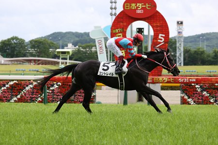 Contrail wins the Tokyo Yushun at Tokyo Racecourse