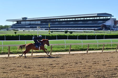 belmont park racetrack schedule