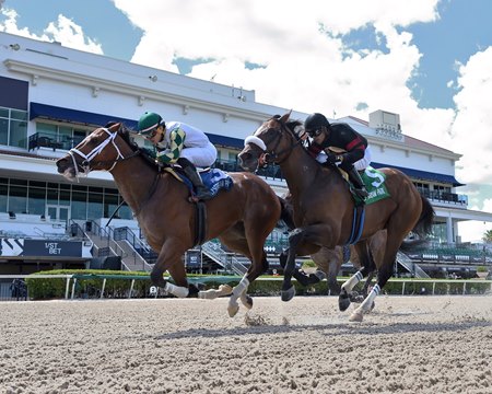 Double Crown defeats Green Light Go in the Roar Stakes at Gulfstream Park