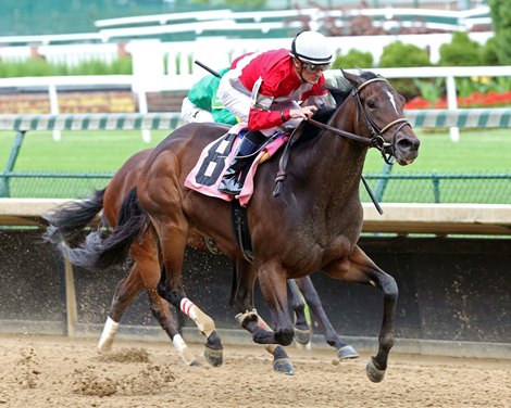 Four Graces to Make Stakes Debut in Dogwood - BloodHorse