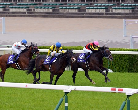 Fierement Repeats in Tenno Sho Spring BloodHorse