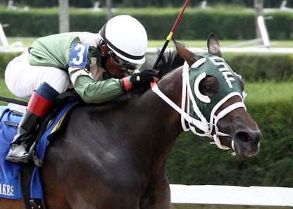 Scandalous Act - Horse Profile - BloodHorse