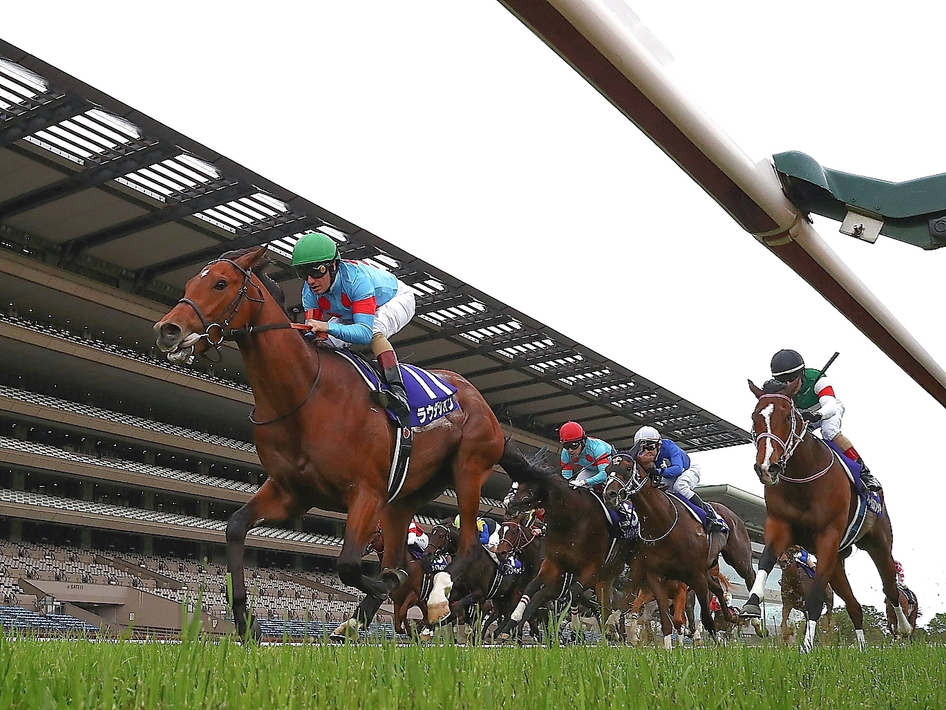 Lauda Sion Scores First Top-Level Victory in NHK Mile - BloodHorse