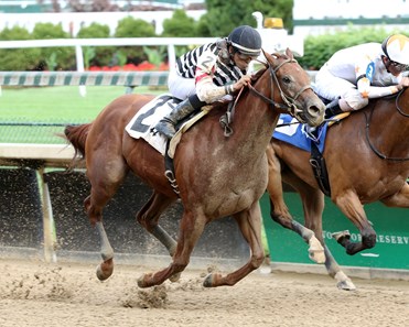 Reagan's Edge - Horse Profile - BloodHorse