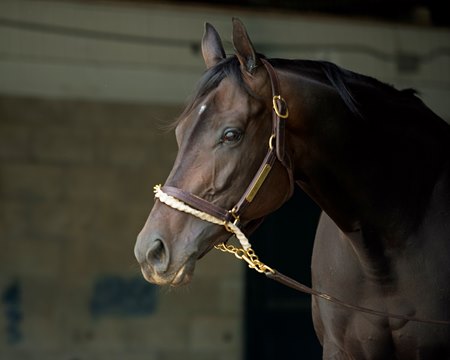 Midnight Bisou May 2 at Keeneland