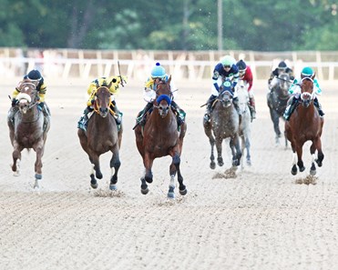 Nadal Horse Profile Bloodhorse