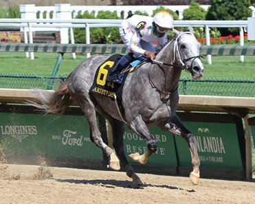 Volatile Stallion Volatile - Horse Profile - BloodHorse