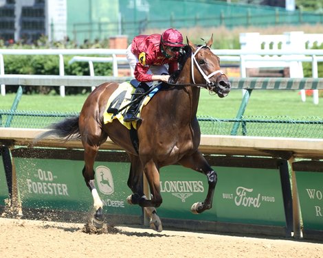 2012 Horse of the Year: I'll Have Another or Little Mike? | Bleacher ...