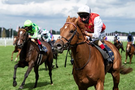 Golden Horde wins the 2020 Commonwealth Cup Stakes at Ascot Racecourse