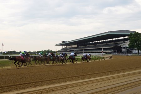 Racing at Belmont Park