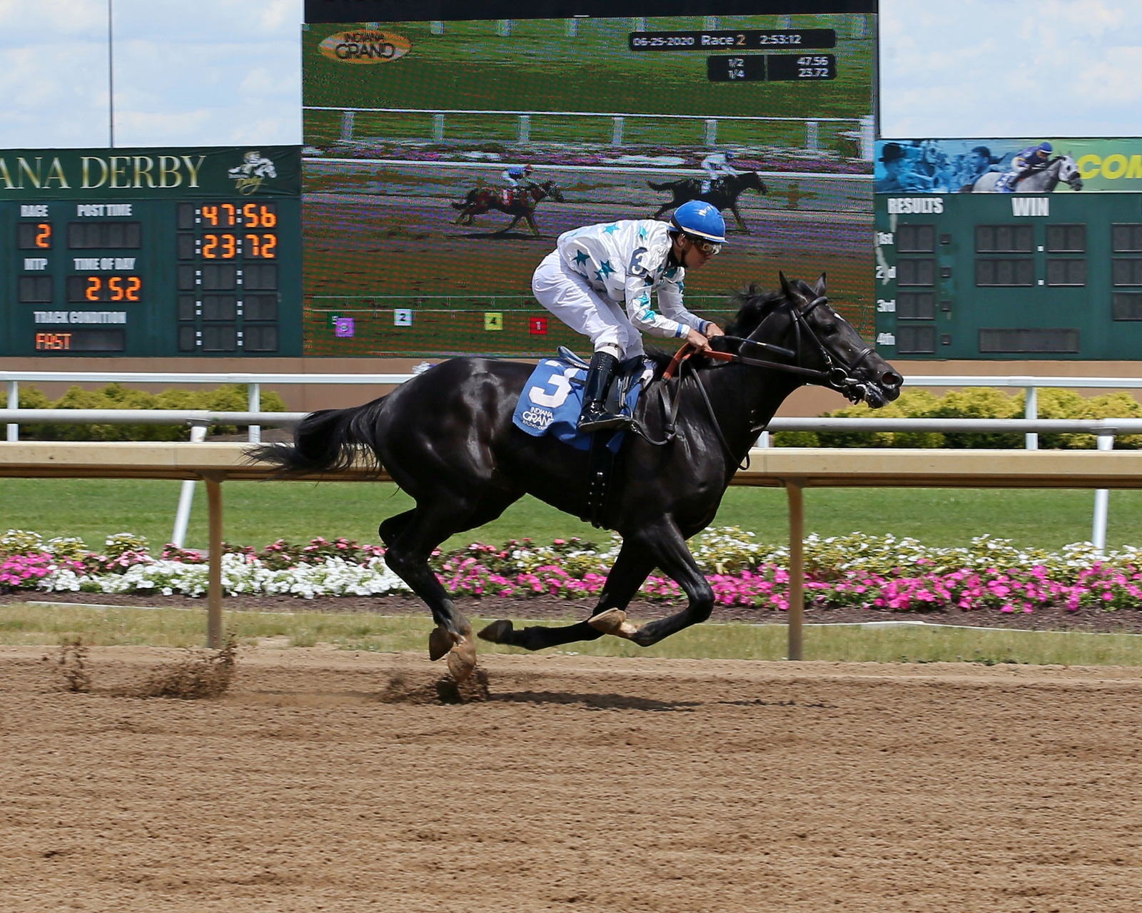 Lookin At Justice - Horse Profile - BloodHorse