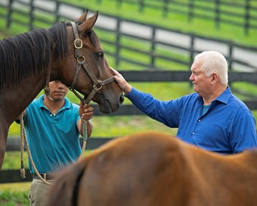 She's a Warrior - Horse Profile - BloodHorse