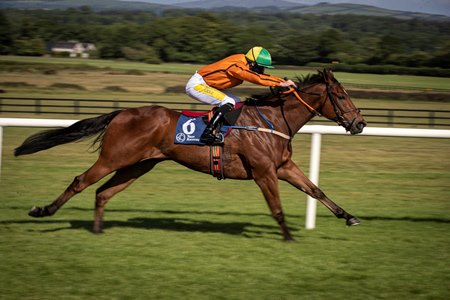 Sceptical wins the Woodland Stakes at Naas
