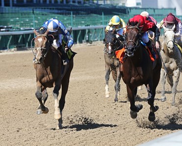 Trident Hit - Horse Profile - BloodHorse