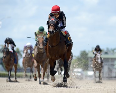 Man Of Honor Horse Profile Bloodhorse