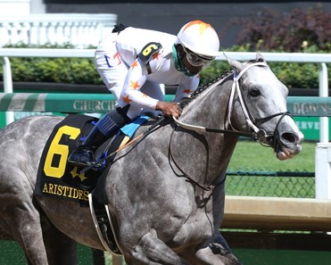 Volatile Stallion Volatile - Horse Profile - BloodHorse