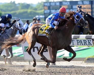 Summer Front - Horse Profile - BloodHorse