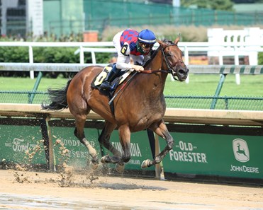 Guarana - Horse Profile - BloodHorse