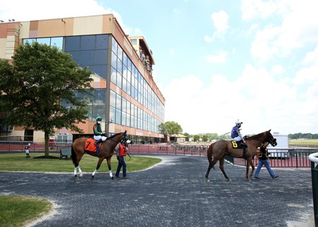 Horses make their way out to the track at Parx Racing