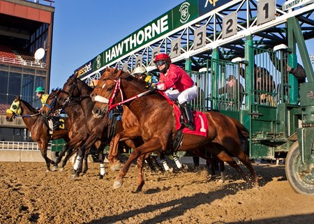 Hawthorne Racecourse's Thoroughbred season is in question