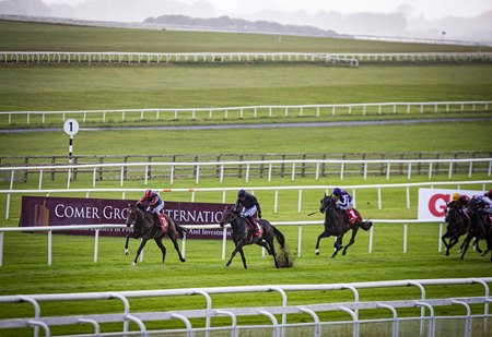Irish Racing Fans Welcomed Back At The Curragh Bloodhorse