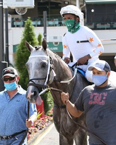 Volatile Stallion Volatile - Horse Profile - BloodHorse