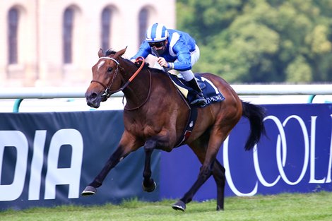 Tawkeel Makes It 17 Top Level Winners For Teofilo Bloodhorse