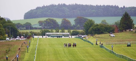 Horses race at Ayr Racecourse 